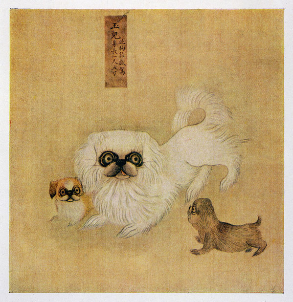 Stolen from Chinese palaces by eunuchs and smuggled to England by ship: How the Pekingese dog found its way to Oxton