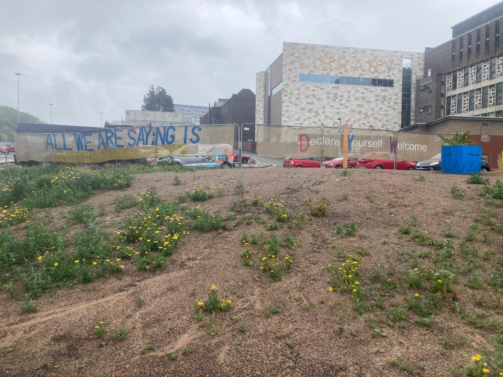 A garden of weeds and a road to nowhere