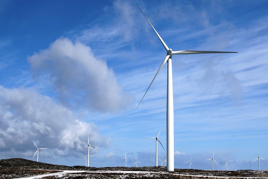 Sefton goes surfing - but clean energy loses out